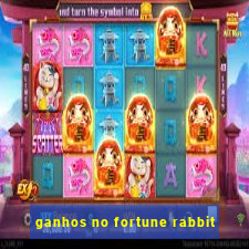 ganhos no fortune rabbit